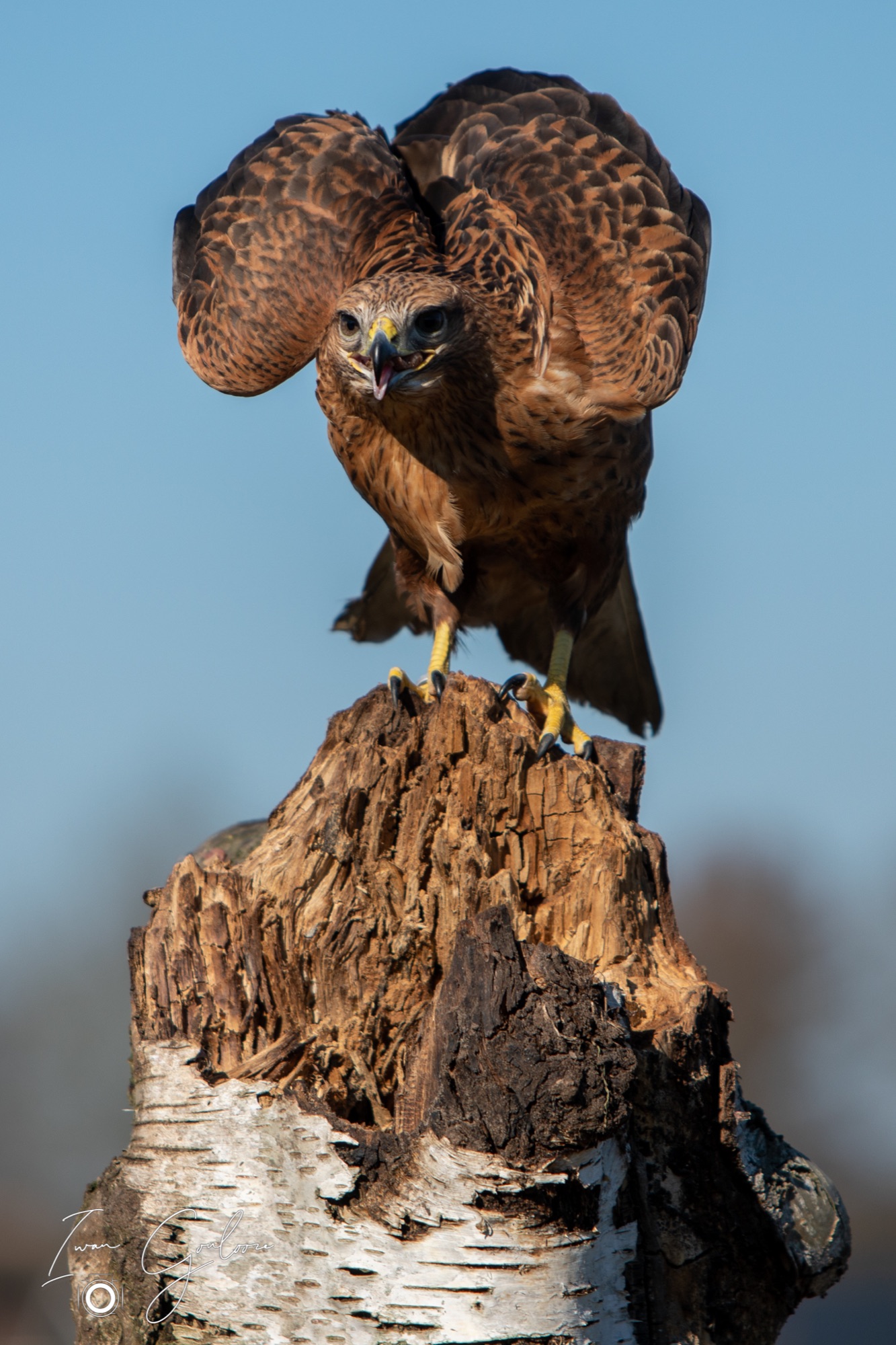 04 maart 2022 150545  5D44081